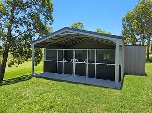 Two-bay steel stable interior with reinforced ply panels and yoke gates installed in a rural shed conversion at Beaudesert
