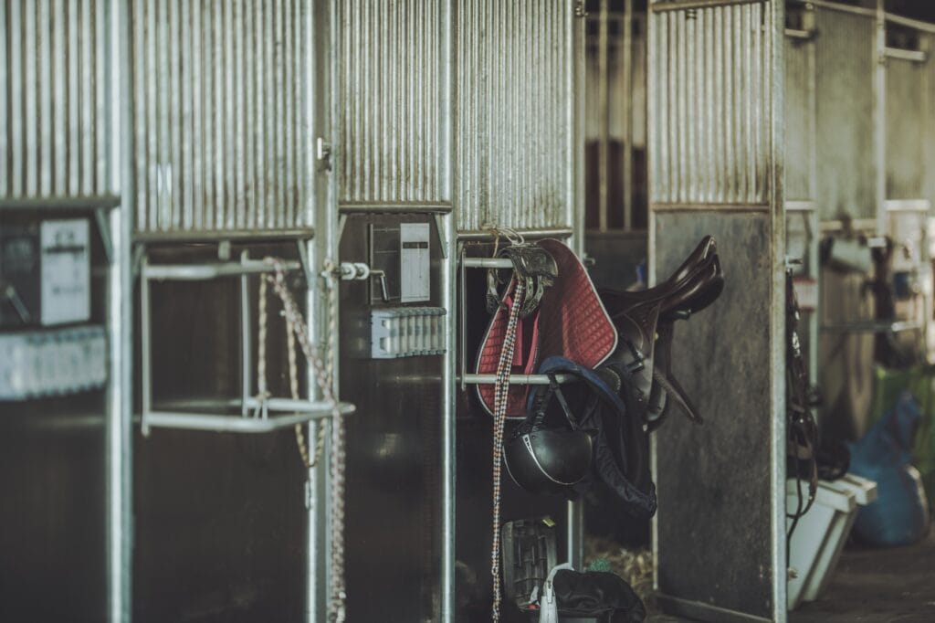 Equestrian Facility Horse Equestrian Lodging Extensions
