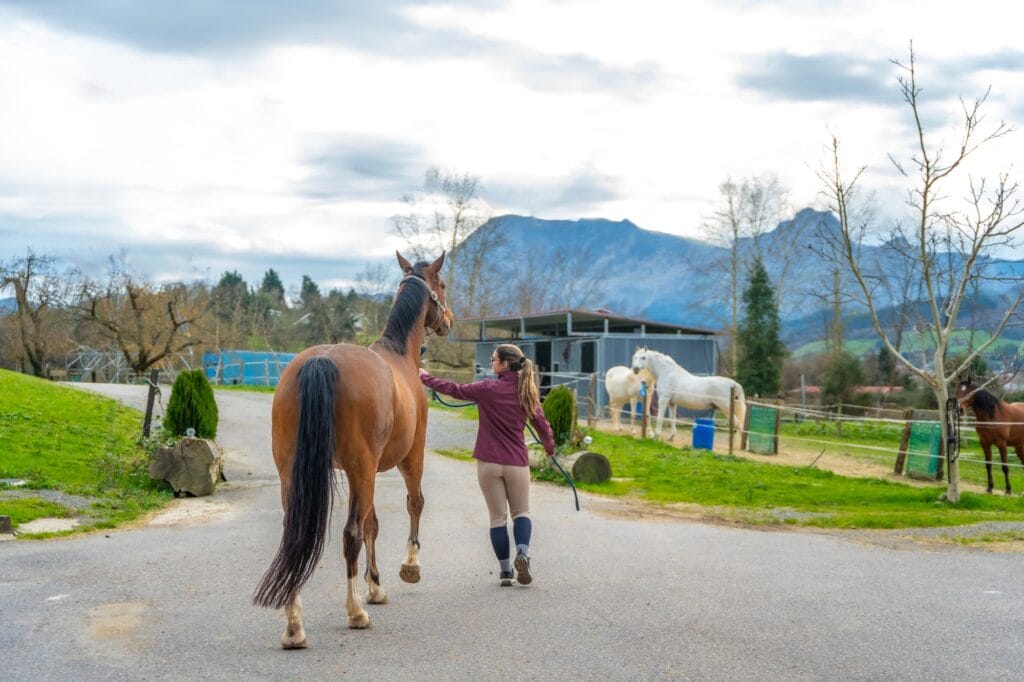 Horse trainer preparing a horse outside the horse stable