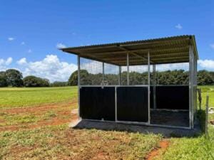 4m x 4m standalone stable on concrete slab with mesh top panels and overhanging roof.