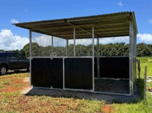 Single Standalone Stable shelter with mesh upper panels and ply kickboards steel horse shelter rural setting