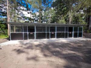 Outdoor kennel set in a wooded area.