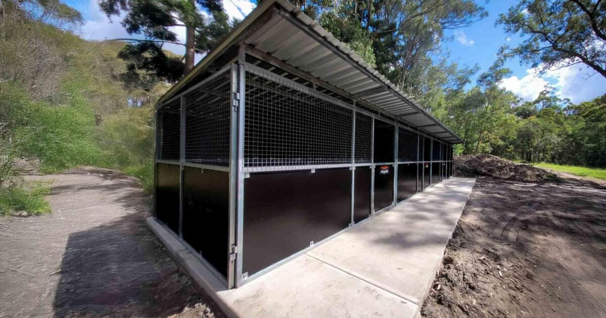 High-resolution front-left angle of completed 3-bay horse stable with integrated tack room – showcases durable steel build, mesh airflow panels, and professional finish on a rural property.