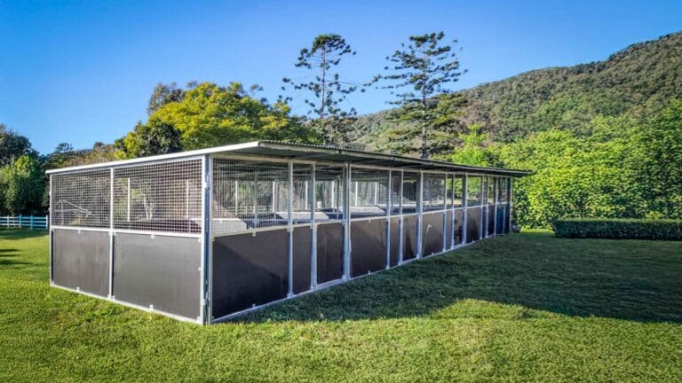 Outdoor dog kennels in scenic grassy area.