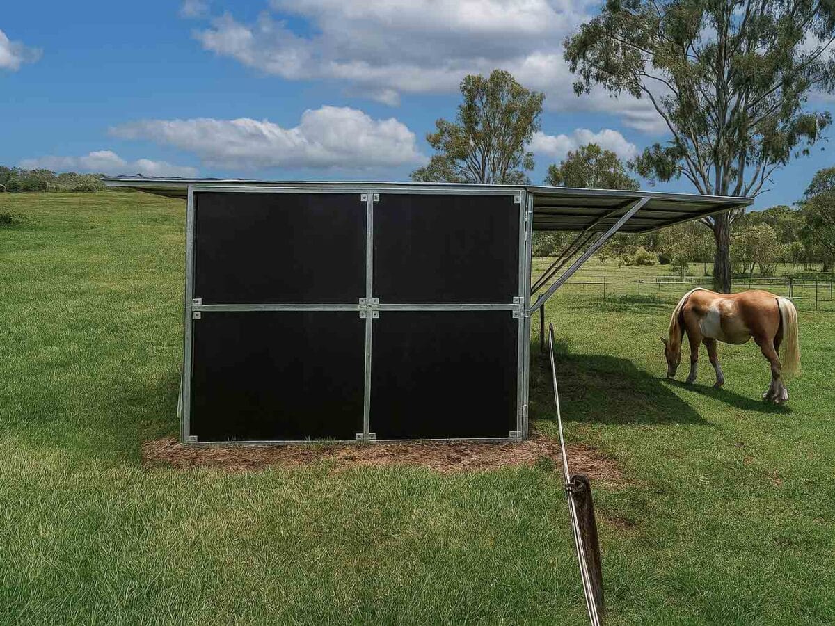 Horse near metal shelter in pasture.