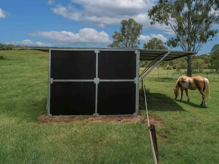 Horse near metal shelter in pasture.