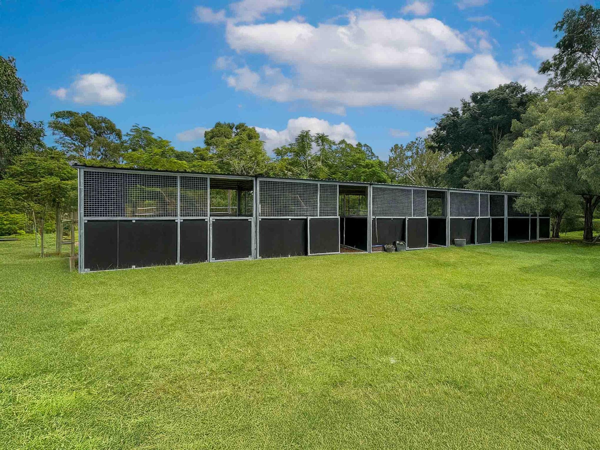 Spacious outdoor animal enclosure in lush green setting.