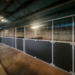 Empty indoor animal enclosures with metal fencing