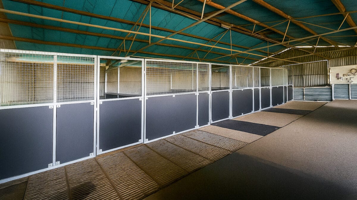 Spacious indoor animal enclosures with sturdy metal fencing.
