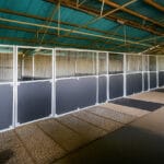 Spacious indoor animal enclosures with sturdy metal fencing.