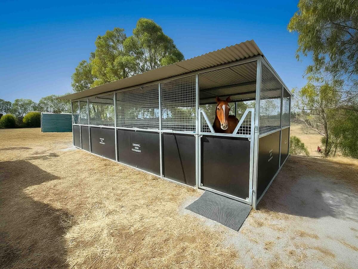 Horse in a modern stable, rural setting.