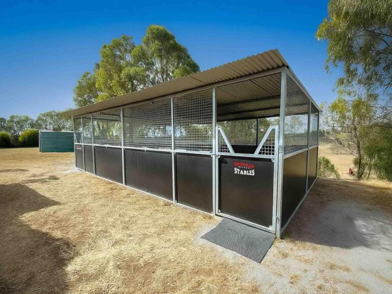 Rural steel stable featuring half-height yoke gates, mesh airflow panels and 2.5m roofline.