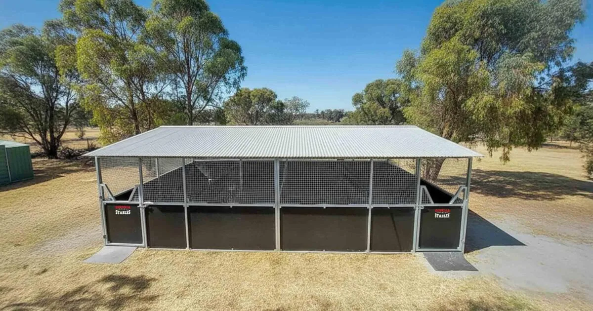 Full front view of a two-bay horse stable system with weather-protecting overhang, designed for daily use.