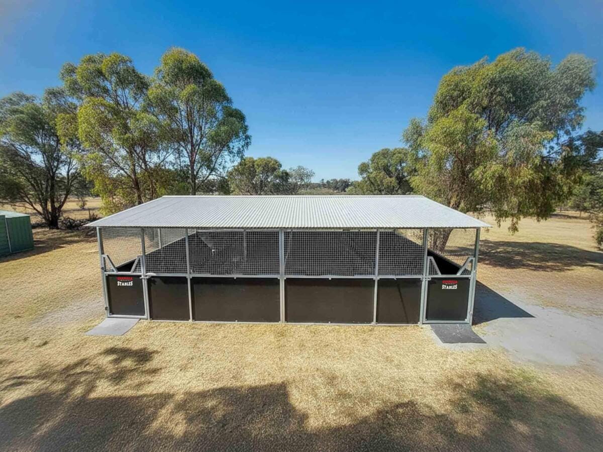 Full front view of a two-bay horse stable system with weather-protecting overhang, designed for daily use.