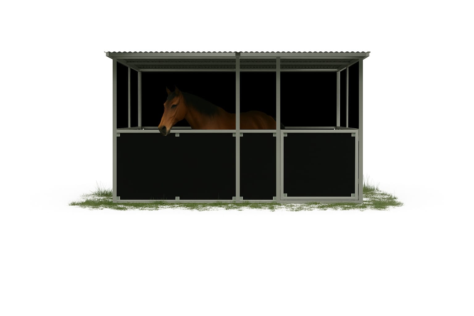 Horse in black stable, outdoor shelter