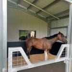 Horse in stable with bandaged leg.