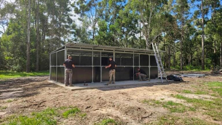 Men building outdoor animal enclosure in a large paddock with forest background