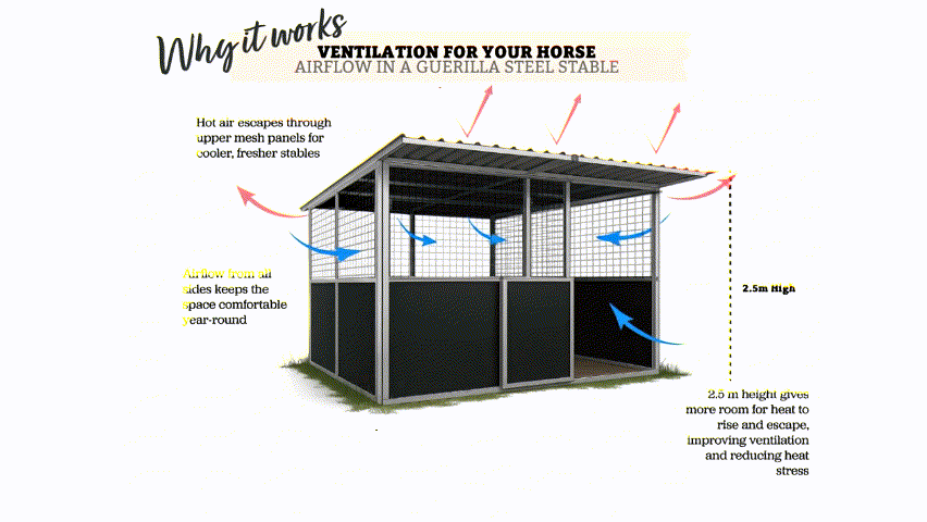 Steel stable ventilation enhances comfort for horses.