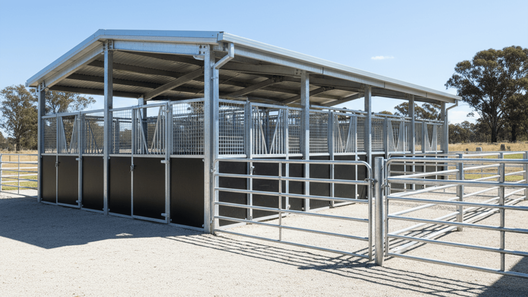 Modern steel livestock yard and shelter structure