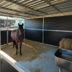 Horse in stable with hay and water trough.