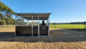 Horse in a stable on a sunny day