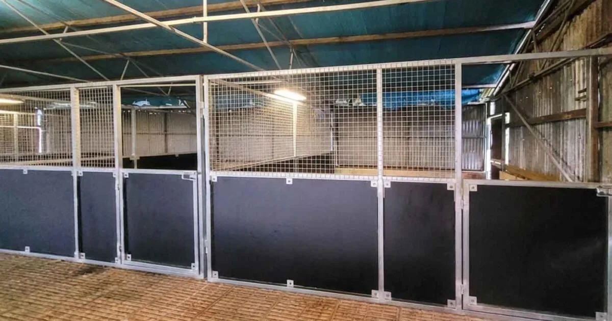 Empty animal quarantine facility with metal fences.