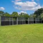 Spacious outdoor animal enclosure in lush green setting.