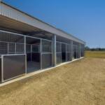 Custom indoor steel horse stable with mesh partitions and form-ply kickboards,