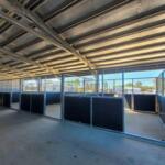 Interior of a large multi-bay steel horse stable complex with mesh-top panels and solid kickboards.