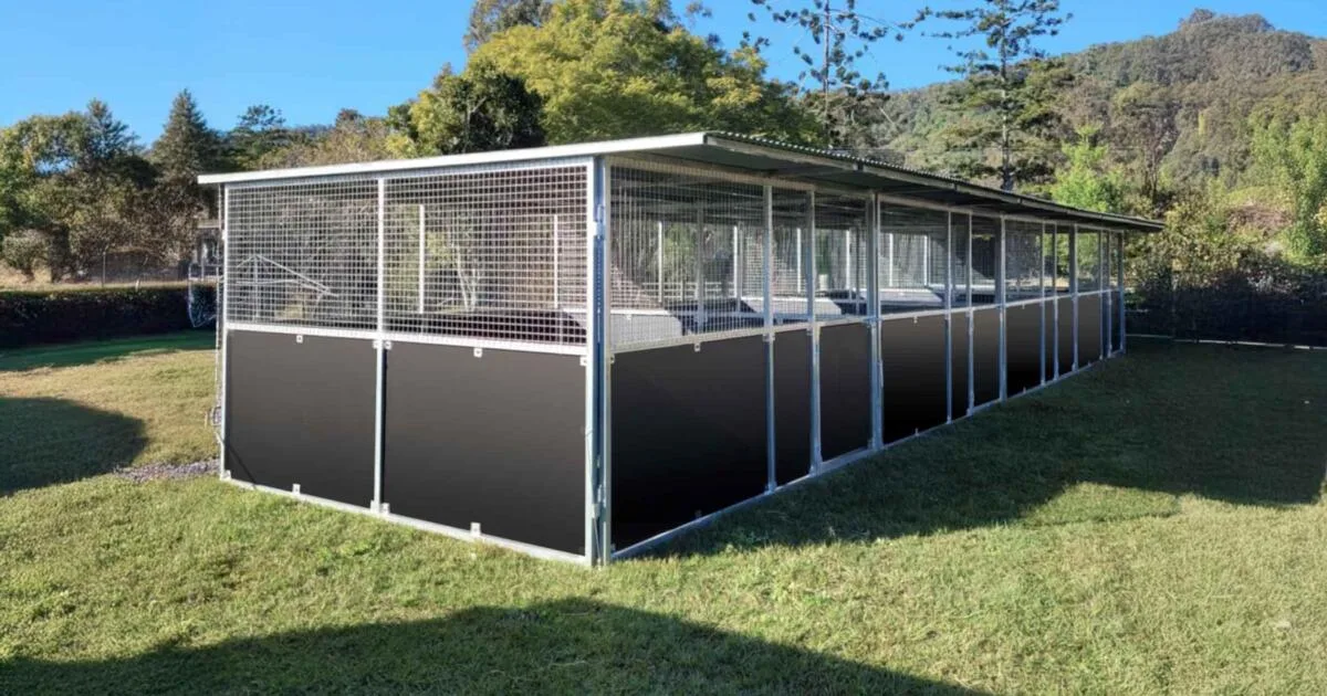Front-left view of a Samford Valley 4-bay modular steel horse stable on grass, showing mesh airflow panels, solid ply kickboards, and flat-roof profile.