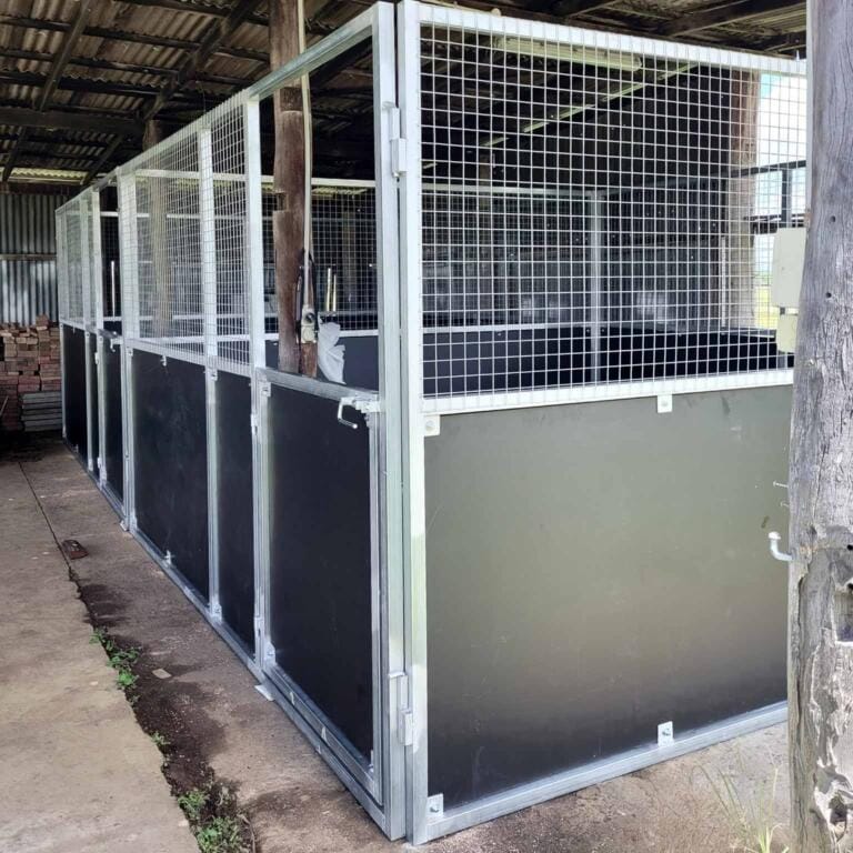 Outdoor animal enclosures with metal and wood structure.
