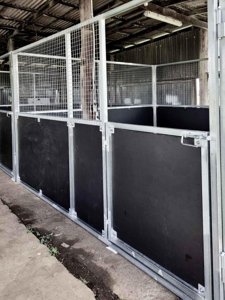 Metal animal pens in a barn setting.