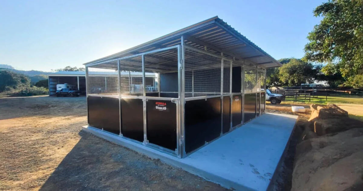 Twin welded horse stables on concrete-ready base with extended roof coverage.