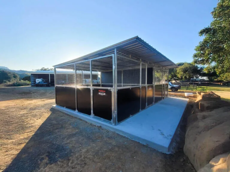 Twin welded horse stables on concrete-ready base with extended roof coverage.