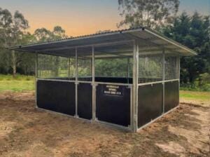 Guerilla Steel horse stable in Samford Valley with extended roof span, rear gutter rail, mesh ventilation panels and form ply kickboards.