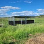 modular steel horse paddock shelter installed in rural paddock environment