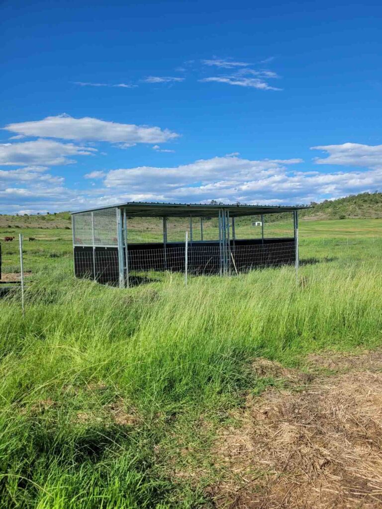 modular steel horse paddock shelter installed in rural paddock environment