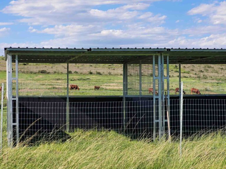 The open front design allows horses to move freely in and out while staying protected from rain and sun.