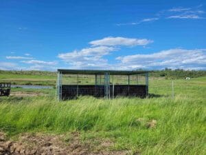 Front view of modular steel horse paddock shelter with mesh upper panels and form ply kickboards