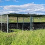 two bay horse paddock shelter with monoclad steel roof and mesh panel walls