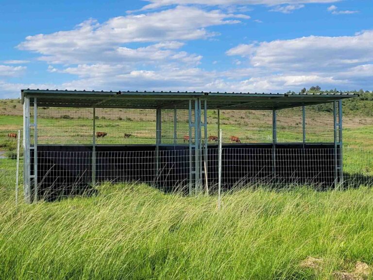 Two bay steel horse paddock shelter with ply mesh panels and galvanised frame in rural pasture