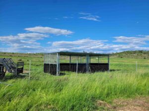 steel horse paddock shelter installed in grassy paddock landscape