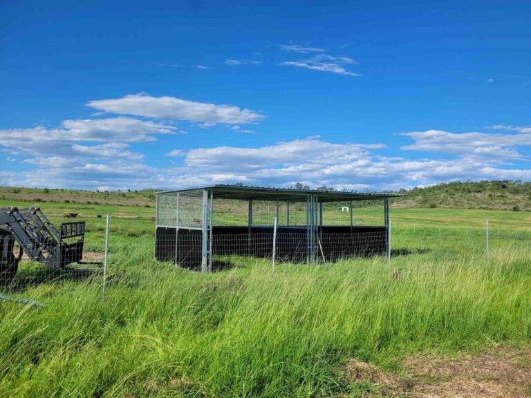 steel horse paddock shelter installed in grassy paddock landscape