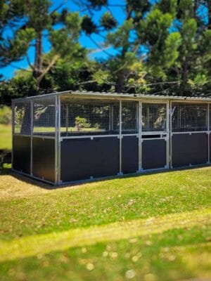 modular steel horse stables with 3 boxes installed beside paddock and trees