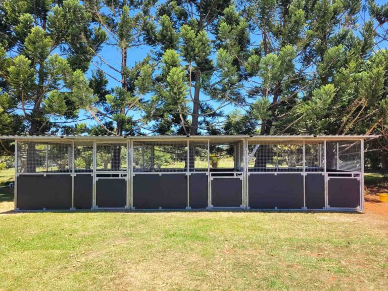 three bay steel horse stable structure with mesh panels and galvanised frame under rural trees
