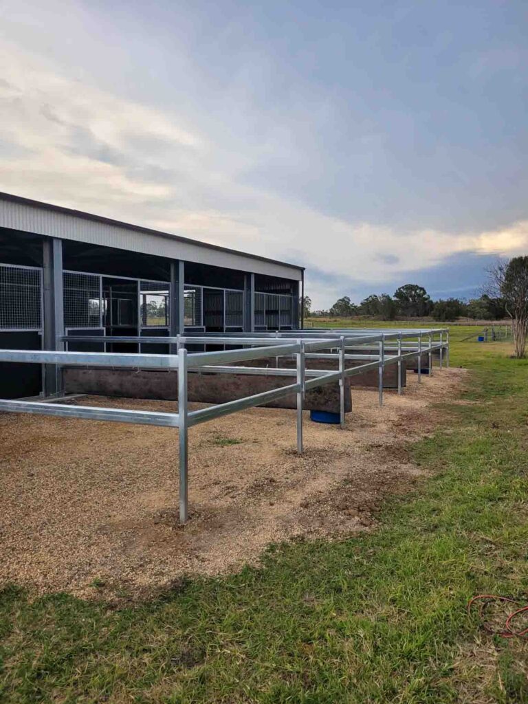 horse stable opening into steel rail day yard fencing system