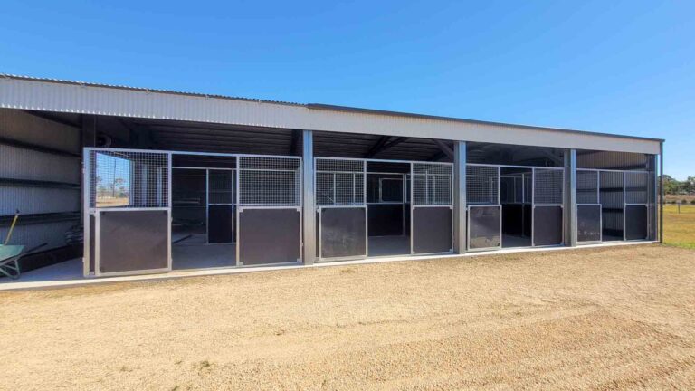 row of steel horse stable bays inside large rural shed with mesh panels
