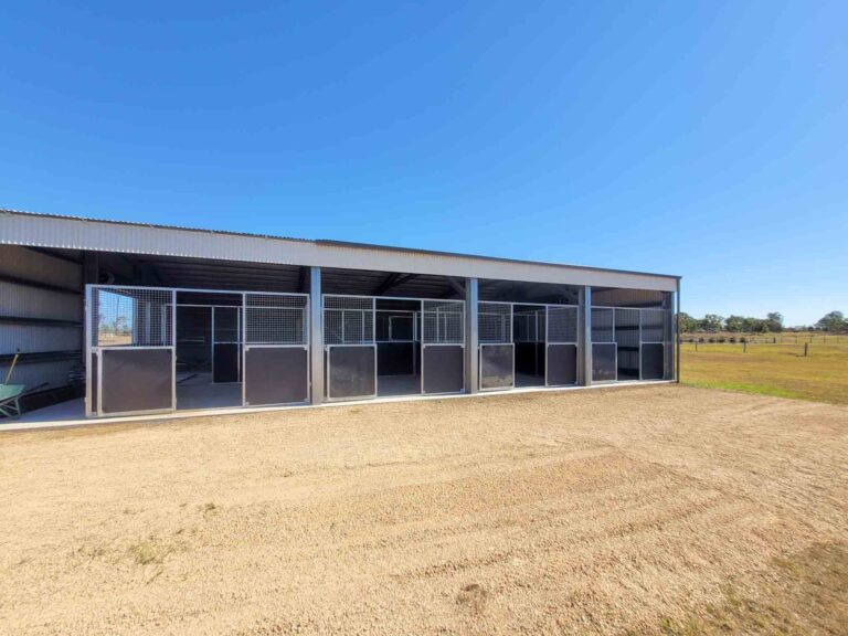 row of steel horse stable bays inside large rural shed with mesh panels