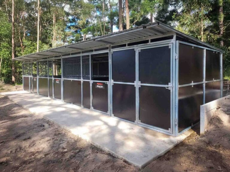 finished 3 bay horse stable with tack room built from galvanised steel and mesh panels on concrete slab