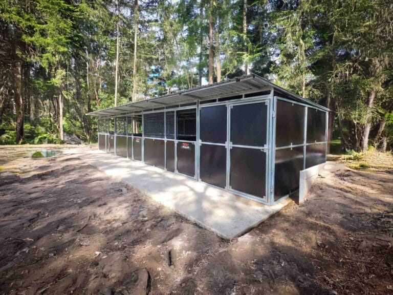 3 bay steel horse stable installed on property surrounded by trees and natural bush landscape
